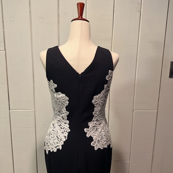 LAUREN Ralph Lauren Zinna Lace Sheath Dress Size 6 - Picture 3 of 5